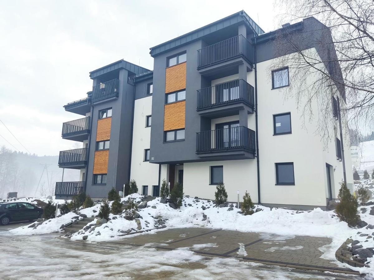 Ferienwohnung Spokojna Odskocznia W Wisle Weichsel Exterior foto
